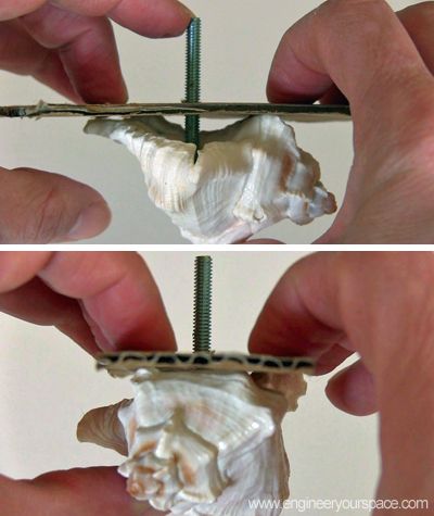 diy decorative shell dresser knobs, crafts, painted furniture, Place the cardboard with the bolt inside the shell and let dry Diy Dresser Knobs, Shell Knob, Diy Knobs, Mermaid Room, Beachy Decor, Diy Dresser, Decorative Knobs, Old Dressers, Business Furniture