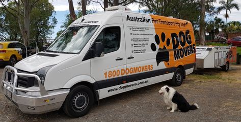 Van Signage, Dog Transport, Pet Taxi, Moving Van, Pet Transport, Boxer Puppies, Relocation Services, Dog Travel, Relocation