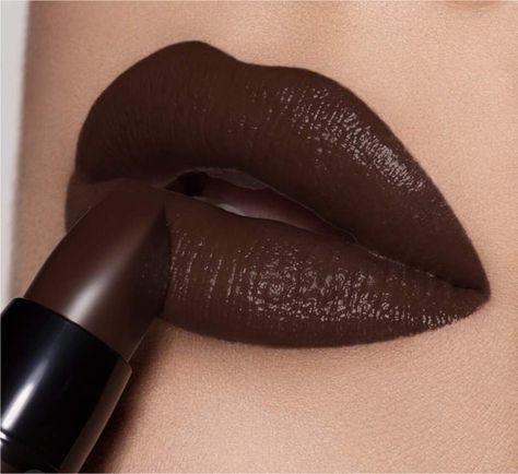 Dark Brown Lipstick, Pretty Lipstick Colors, Snow White Makeup, Maroon Lipstick, Lipstick For Dark Skin, Learn Makeup, Casual Makeup, Lipstick Kit, Brown Lipstick