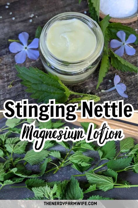 Stinging Nettle Magnesium Lotion Diy Lotions, Cold Process Soapmaking, Herbal Health, Homemade Spa, Magnesium Lotion, Cypress Essential Oil, Aloe Water, Lotion Recipe, Mountain Rose Herbs