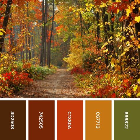 Sage Green And Cranberry Color Palettes, Fall Complimentary Colors, Autumn Leaves Colour Palette, Fall Leaf Color Palette, Autumn Paint Palette, Fall Leaves Colors, Rich Fall Color Palette, Fall Color Inspiration, Fall Leaves Color Palette