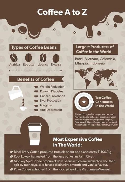 Cappuccino Photography, Coffee Nutrition Facts, Coffee Knowledge, Espresso Love, Types Of Coffee Beans, Health Benefits Of Coffee, Coffee Health, Coffee Infographic, Coffee History