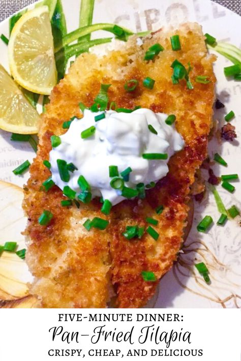 Pan-fried Tilapia - Tilapia Recipes Breaded, Panko Tilapia Fried, Fried Talapia Ideas, Breaded Tilapia Recipes Fried Fish, Crusted Talipia Recipes, Tilapia Breaded Recipes, Tilapia Fried Recipes, Best Way To Cook Tilapia, Breaded Talapia Ideas