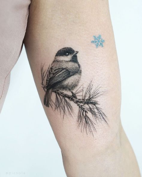 Ola | tattoo artist on Instagram: “A small chickadee for Karen, thank you! #chickadee #chickadeetattoo #birdtattoo” Flying Chickadee Tattoo, Small Sparrow Tattoo, Chickadee Tattoo, Two Birds Tattoo, Voll Arm-tattoos, Pine Tattoo, Robin Tattoo, Bluebird Tattoo, Bird Tattoos For Women