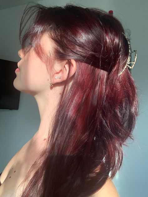 Maroon Dyed Hair, Dark Red Peekaboo Hair, Rusty Red Hair, Red Hair Dye Ideas, Wine Hair Color, Cherry Red Hair, Wine Hair, Red Hair Inspo, Cherry Hair