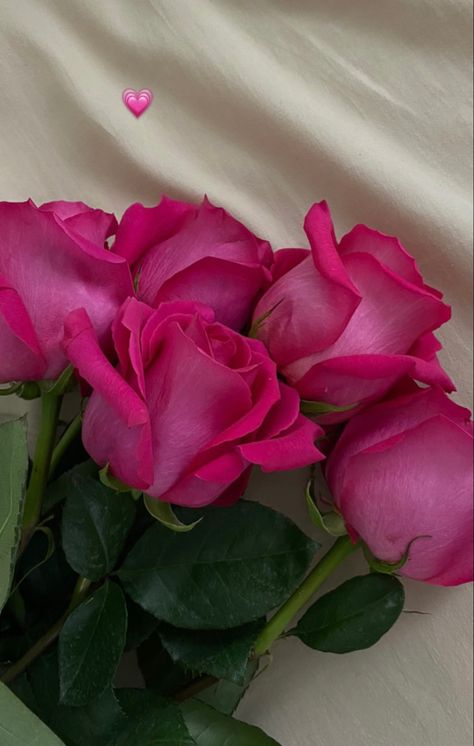 Luxury Flower Bouquets, Fancy Flowers, Hot Pink Roses, Beautiful Flowers Photography, Boquette Flowers, Flowers Bouquet Gift, Nothing But Flowers, Wallpaper Nature Flowers, Flower Therapy