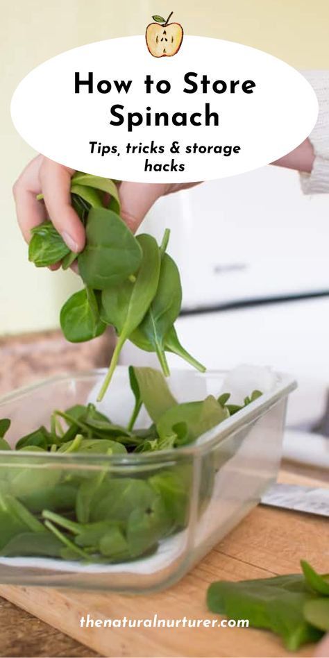 How To Store Spinach, Best Spinach Recipes, Food Saver Hacks, Storing Vegetables, Storing Fruit, Raw Spinach, Fruit And Vegetable Storage, How To Make Greens, Vegetable Storage