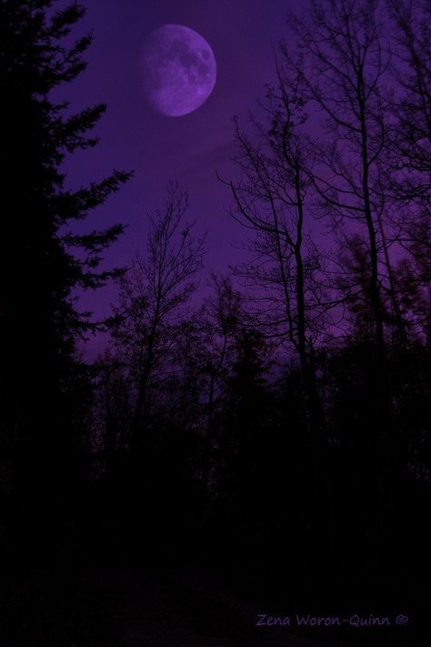 Purple and black Purple Ghost Aesthetic, Midnight Purple Aesthetic, Pastel Ghost Aesthetic, Purple Aesthic, Purple Moon Aesthetic, Ps4 Background, Magic Goddess, Aesthetic Trees, Pastel Ghost