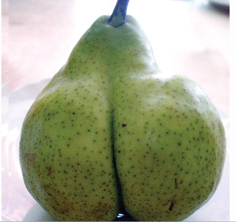 Ass Pear. Pear Photo, Pear Photography, Pear Annoying Orange, Pear Fragrances, Pear Reference Photos For Artists, Valentines Healthy Snacks, Weird Fruit, Healthy Valentines, Funny Fruit