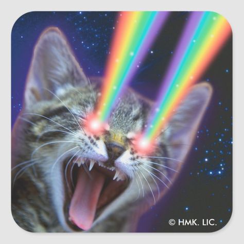 Rainbow Laser Cat Square Sticker #Hallmark #Zazzle Trippy Cat, Galaxy Cat, Silly Cats Pictures, Rainbow Cat, Cat Pose, New Cat, Cat Mouse, Scene Kids, Cat Icon