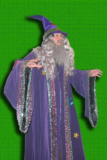 Wizard Costume Ideas, Diy Wizard Costume, Wizard Professor, Wizard Halloween Costume, Yuh Huh, Wizard Outfit, Magician Costume, Fairy Music, Medieval Banquet