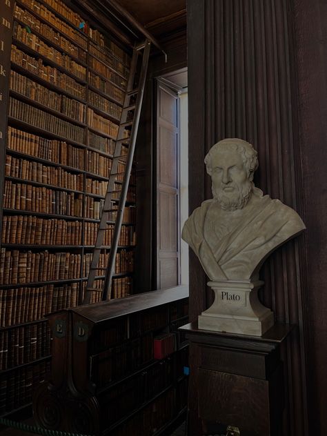 Professor Aesthetic, Philosophy Major, Trinity College Library, Study Philosophy, Teacher Aesthetic, Blithe Spirit, History Major, Long Room, College Library