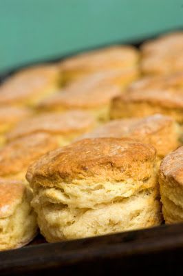 Pioneer Woman Buttermilk Biscuits so easy and so good #pioneerwomanbiscuits Sunday Tea, Ree Drummond Recipes, Homemade Biscuits Recipe, Lovely Sunday, Biscuit Rolls, Healthy Recipes Easy Snacks, Pioneer Woman Recipes, Homemade Biscuits, Buttermilk Biscuits