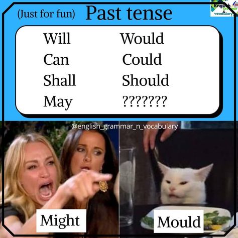 Meme English Grammar, English Student Memes, Linguistics Memes English, Grammar Memes Funny, Grammar Memes Humor, English School Aesthetic, Grammar Memes, Humour English, Humor English