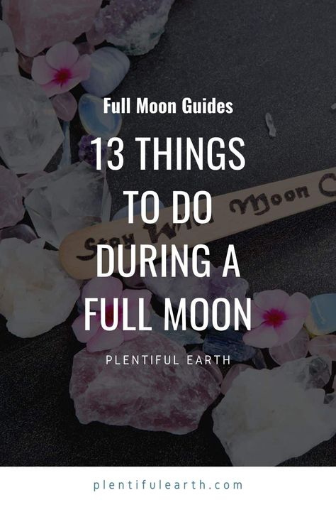 Budget Garden Ideas, Full Moon Spells, Garden On A Budget, Full Moon Tonight, Moon Activities, Moon Spells, Full Moon Party, Moon Reading, Moon Journal