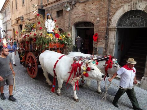 Festa De Le Cove ~ Harvest Festival Italian Style Italian Food Festival, Italy Mask Festival, Italy Food Market, Locorotondo Italy Christmas, Italian Festival, Italian Fishing Village, Cultural Beauty, Italian Traditions, Festival Celebration