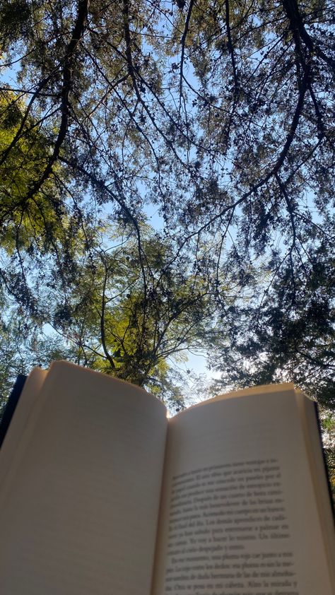 Nature And Books Aesthetic, Book Aesthetic Outside, Reading Asthetic Wallpers, Book Instagram Profile Picture, Visual Board Pictures, Reading Time Insta Story, Book Pictures Aesthetic, Reading Outside Aesthetic, Book Instagram Story