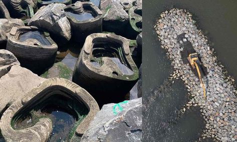 'Living Breakwater' Makes Room for Oysters and Tidal Pools In Award Winning Design off Staten Island Oyster Bed, Natural Architecture, Tidal Pool, American Story, Mind Blowing Facts, Question Of The Day, Low Tech, Eco Design, Design Competitions