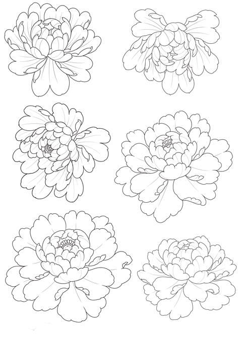 Japanese Flower Stencil, Japanese Traditional Peony, Japanese Flowers Tattoo Design, Japanese Flowers Drawing, How To Draw Peonies, Japanese Style Flowers, Peony Japanese, Japanese Peony Tattoo, Japanese Peony