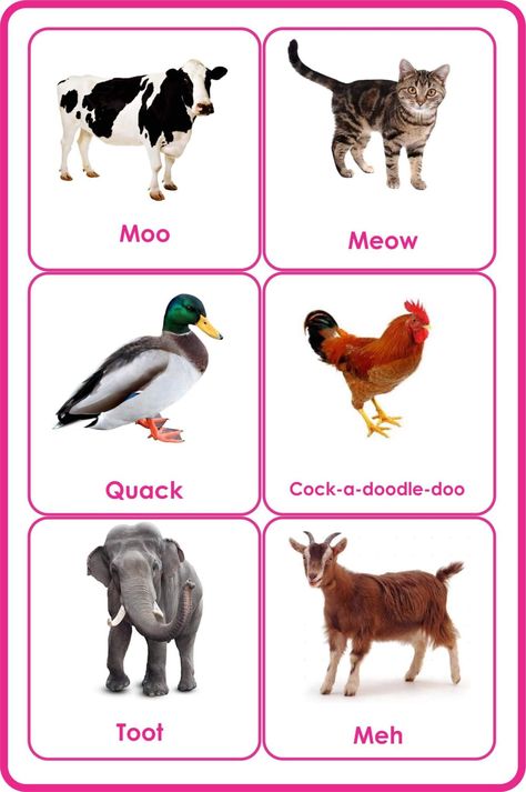 Printable Animals Pictures, Animal Flash Cards Printable, Farm Animals Flashcards Free Printable, Free Printable Animal Pictures, Animals And Their Babies Free Printable, Animal Flashcards Printable Free, Animal Sounds Activity, Printable Animal Pictures, Animals And Their Sounds