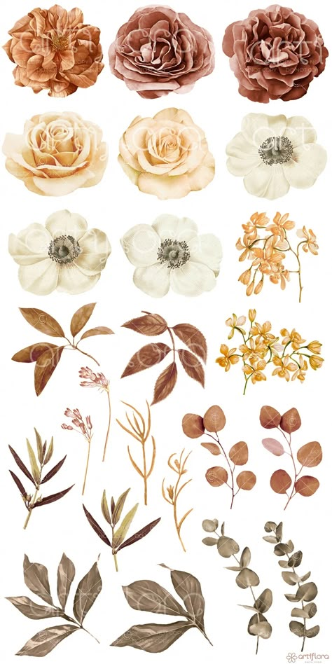 Watercolor Floral Clipart Roses Clipart Brown Flowers Fall - Etsy Poland Flower Design For Scrapbook, Flower Aesthetic Drawing Vintage, Brown Flowers Painting, Vintage Flowers Design, Brown Flowers Drawing, Vintage Stickers Printables Flowers, Fall Flowers Clipart, Small Flower Clipart, Aesthetic Flowers Printable