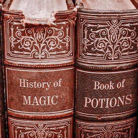 Divination Witch Aesthetic, Magic School Aesthetic, Wizard Book, History Of Magic, Potions Book, School For Good And Evil, Magic Aesthetic, Season Of The Witch, Magic School