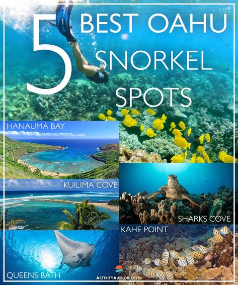 Best Snorkeling In Oahu, Oahu Snorkeling, Best Places To Snorkel, Hawaiian Ideas, Oahu Trip, Hawaii Vacation Oahu, Honolulu Vacation, Hawaii Snorkeling, Hawaii Trip Planning