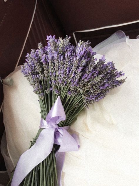 Lavender Marriage, Aesthetic Lavender, Diana Barry, Lavender And Lemon, Lavender Aesthetic, Baby S Breath, Seasons Change, Flower Therapy, Soft Purple