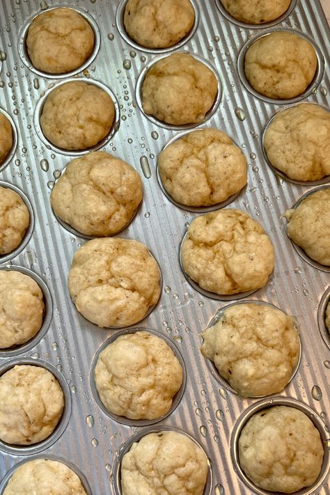 These cottage cheese mini muffins are the perfect little snack or meal for babies and toddlers. Higher protein and have fiber! Cottage Cheese Pancake Muffins, Healthy Mini Muffins For Toddlers, Cottage Cheese Mini Muffins, Mini Muffins For Babies, High Calorie Toddler Snacks, Cottage Cheese For Babies, Yummytoddlerfood Muffins, High Protein Mini Muffins, Cottage Cheese Toddler Recipes