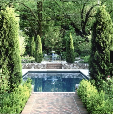 Visual Vamp, Small Inground Pool, Dusty Miller, Have Inspiration, Beautiful Pools, Inground Pools, Garden Pool, Gorgeous Gardens, Outdoor Swimming