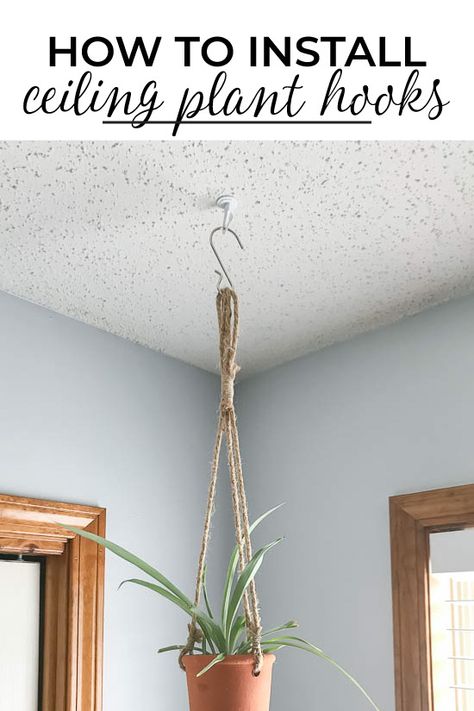 How To Hang Hanging Plants From Ceiling, Hook For Hanging Plants, Plant Ceiling Hanger, How To Hang From Ceiling, House Plant Hanging Ideas, How To Hang Something From The Ceiling, How To Hang House Plants, Ceiling Hook Ideas, How To Hang Stuff From Ceiling