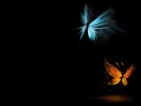 Black Screen Wallpaper Ipad Air Wallpaper, Wallpaper Samsung, Canvas Paint, Butterfly Wallpaper, Fire And Ice, Butterfly Art, New Wallpaper, Screen Wallpaper, Free Wallpaper