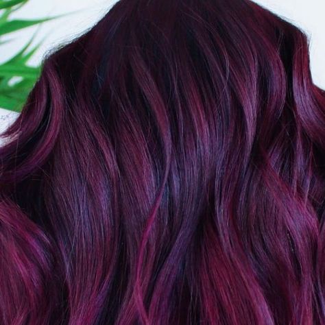 Pulp Riot Hair Color on Instagram: "@beautyvoodoo is the artist. #pulpriotsemis" Red Violet Hair Color, Red Violet Hair, Pulp Riot Hair Color, Maroon Hair, Plum Hair, Pulp Riot Hair, 2023 Hair, Pulp Riot, Nice Hair