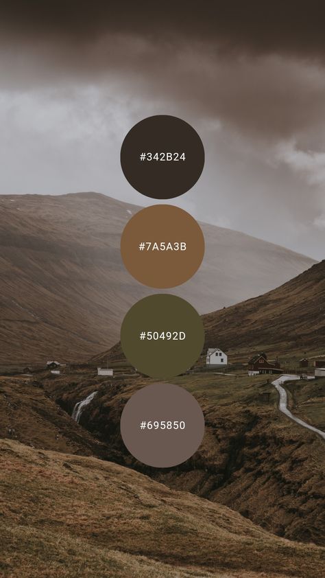 Dark Earth Tones Colour Palettes, Neutral Moody Color Palette, Moody Modern Color Palette, Dark Minimalist Color Palette, Olive Living Room Ideas, Dark Earth Tone Living Room, Earth Tone Website Design, Moody Color Pallet, Moody Natural Bedroom