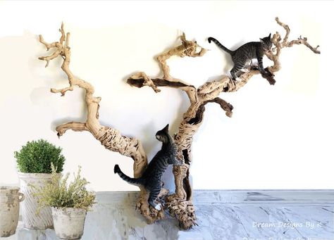 This is the actual sculpture you will receive. (Comes in 3 natural pieces)

This beautiful huge natural tree root sculpture was created from 3 natural pieces.

We are showing only one display option, but you can separate them and attach them to the wall in different beautiful ways.

You can create one big sculpture as shown in pictures or separate them into 3 different sculptures.

One next to each other or underneath each-other, horizontally or vertical. Root Sculpture, Floor Sculpture, Large Air Plants, Large Cat Tree, Cat Climbing Tree, Cat Climbing Frame, Driftwood Wall, Tree Root, Air Plant Display