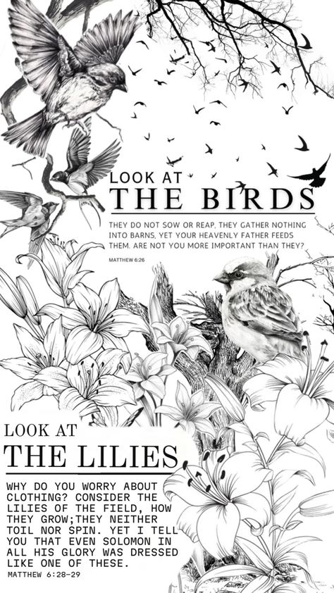 Look at the lilies and sparrows- are you not more loved then them? #scripture #bibleverse Sparrows, Bible Verses, Matthew 6 26, Lilies Of The Field, Heavenly Father, Look At, Lily