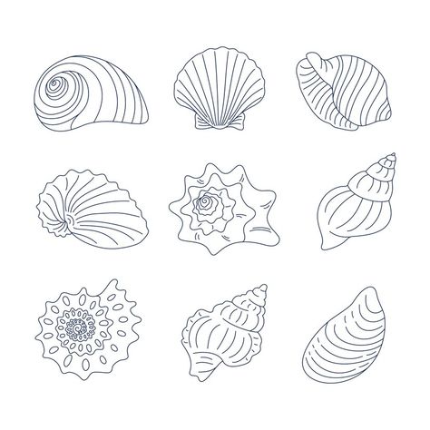 Shell Embroidery Pattern, Shell Pattern Design, Seashell Line Art, Seashell Drawing Simple, Drawing Ideas Outlines, Sea Shell Outline, Seashell Illustration Drawing, Shell Line Drawing, Seashells Illustration