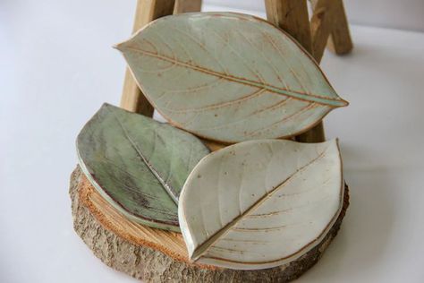 These beautiful handmade leaf soap dishes are a great way to add that special touch to your bathroom or kitchen. They also make perfect spoon-rests! • handmade leaf soap dish • Large 7”x4”, also available in small on different listing • leaf imprint • customizable color • beautiful, unique gift • dishwasher, microwave and oven safe Fun Beauty Products, Pottery Sale, Florida Art, Spoon Rests, Soap Dishes, Oyster Shell, Soap Dish, Moss Green, Trinket Dishes