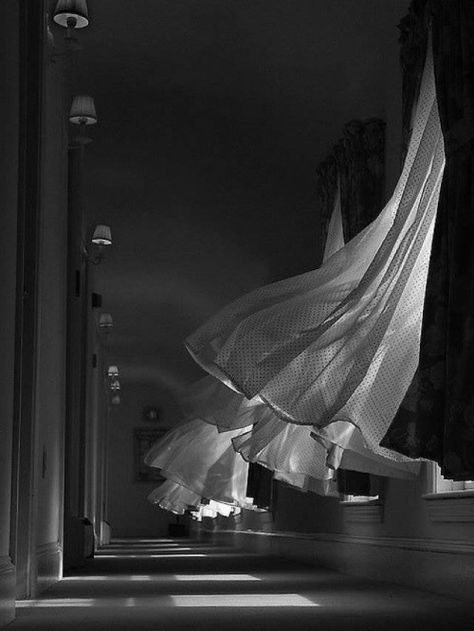 Breeze Photo: Bruce Berrien Curtains Blowing In The Wind, Curtains Blowing, Blowing In The Wind, Black And White Photograph, Foto Art, Black White Photos, Black N White, Bw Photo, White Photo