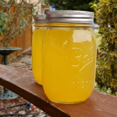 Canning Meyer Lemonade Concentrate – Gazing In Canned Lemonade Concentrate, Canning Lemonade Concentrate, Canning Drinks, Lemon Concentrate, Lemonade Concentrate Recipe, Fireball Drinks, Meyer Lemon Recipes, Dehydrating Food Storage, Lemon Jam