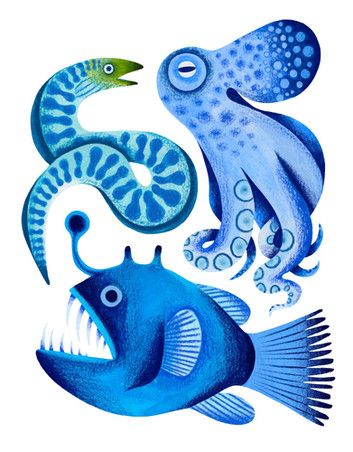 Pretty Saltwater Fish, Marine Biology Illustration, Ocean Graphic Design Illustrations, Ocean Creatures Illustration, Colorful Fish Illustration, Ocean Animals Illustration, Ocean Design Illustrations, Watercolor Poster Design, Anglerfish Illustration