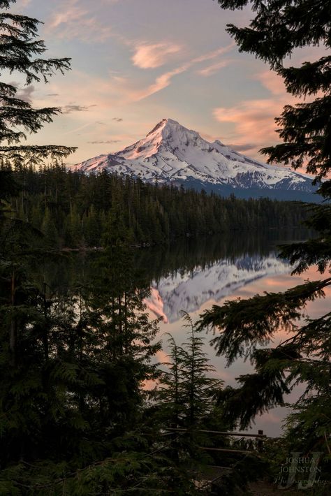 Another beautiful view of Mt. Hood.  Photo: Joshua Johnston Mt Hood, Beautiful View, Hanging Pictures, Mount Rainier, Pacific Northwest, Mountain View, Ocean View, Beautiful Views, Natural Landmarks