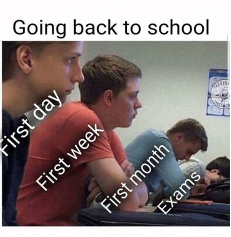 Evolution of academic exhaustion. #schoolsupplyboxes High School Memes, Class Memes, About School, School Memes, School Pictures, Going Back To School, School Humor, Edgy Memes, School Fun