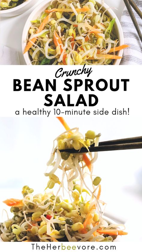 Korean-Inspired Bean Sprout Salad Recipe (Vegan, Vegetarian) Salads With Bean Sprouts, Salad With Sprouts, Recipes With Bean Sprouts, Mung Bean Sprouts Recipes, Bean Sprouts Recipes, Bean Sprouts Salad, Bean Sprout Recipes, Bean Sprout Salad, Sesame Noodles Recipe