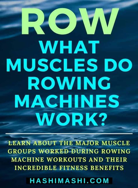 What Muscles Do Rowing Machines Work - Learn about the major muscle groups worked during rowing machine workouts + their incredible fitness benefits. rowing muscles worked | rowing machine muscles worked | what muscles do rowing machines work Row Machine Workout, Row Machine Benefits, Rowing Machine Workout Benefits Before And After, Gym Rowing Machine Workout, Beginner Rowing Machine Workout, Rowing Muscles Worked, Rowing Machine Workout Benefits, Squats Muscles Worked, Cardio Rowing Machine Workout