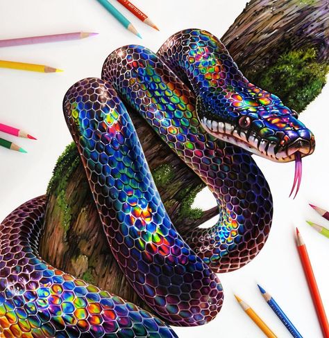 Colored pencil rainbow snake drawing with a marker base! 🐍🌈✨Process will be uploaded to my saved stories! 💕 Thank you all for all of your… Morgan Davidson, Snake Painting, Rainbow Snake, Colorful Snakes, Pretty Snakes, Snake Wallpaper, Snake Drawing, Prismacolor Art, Pencil Drawings Of Animals