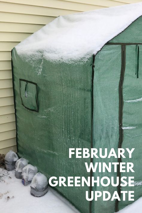 Winter Greenhouse Diy, Makeshift Greenhouse, Greenhouse In Front Yard, Dollar Store Greenhouse, Diy Portable Greenhouse, Temporary Greenhouse, Small Greenhouses, Greenhouse For Winter, Diy Temporary Greenhouse