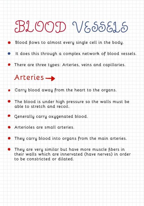 Gcse Science Revision Biology, Gcse Revision Help, Gcse Science Notes, Heart Biology Notes, Gcse Study Notes, Biology Notes Igcse, Gcse Biology Notes, Heart Revision, Igcse Biology Revision Notes