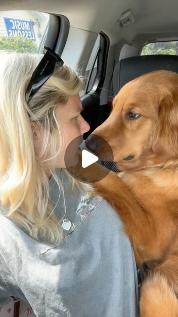 Chien Golden Retriever, Golden Retriever Funny, Clever Dog, Very Cute Dogs, Really Cute Dogs, Lap Dogs, Funny Dog Videos, June 19, Cute Cats And Dogs