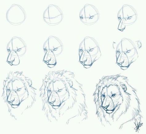 how to draw a lion in eleven steps step by step drawing animals pencil sketch on white background Trin For Trin Tegning, Animals Step By Step, Lion Sketch, Lion Drawing, Princess Drawings, Pencil Drawings Easy, Lion Art, Pencil Art Drawings, Creative Drawing